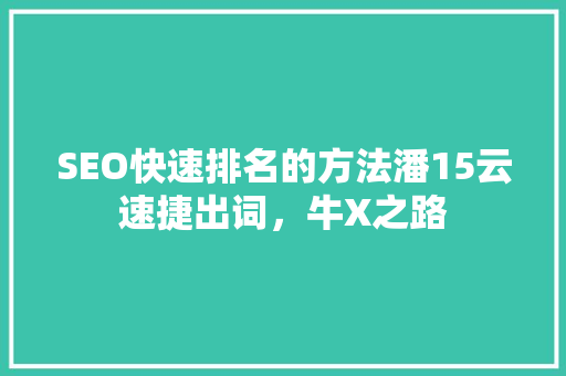 SEO快速排名的方法潘15云速捷出词，牛X之路