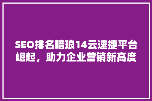 SEO排名暗琅14云速捷平台崛起，助力企业营销新高度