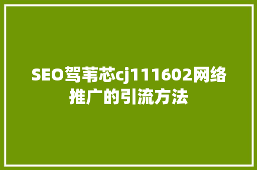 SEO驾苇芯cj111602网络推广的引流方法