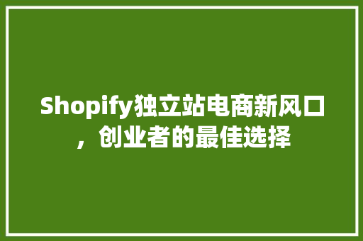 Shopify独立站电商新风口，创业者的最佳选择