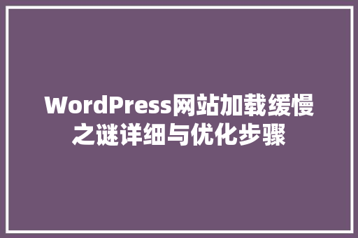 WordPress网站加载缓慢之谜详细与优化步骤