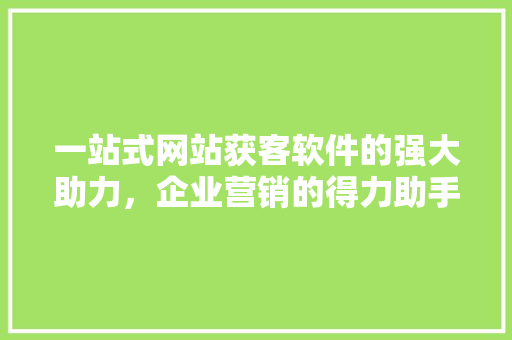 一站式网站获客软件的强大助力，企业营销的得力助手