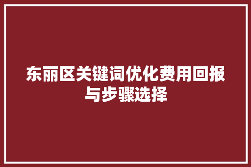 东丽区关键词优化费用回报与步骤选择