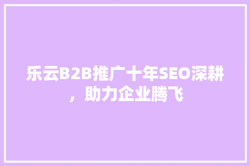 乐云B2B推广十年SEO深耕，助力企业腾飞