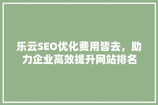 乐云SEO优化费用皆去，助力企业高效提升网站排名