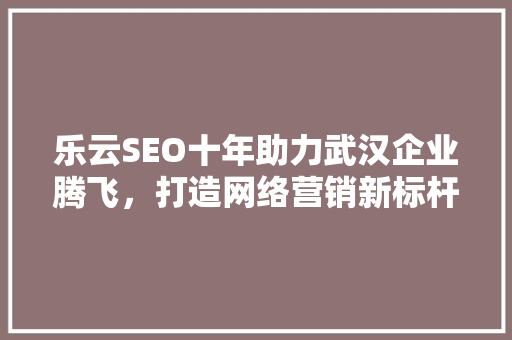 乐云SEO十年助力武汉企业腾飞，打造网络营销新标杆 操作系统