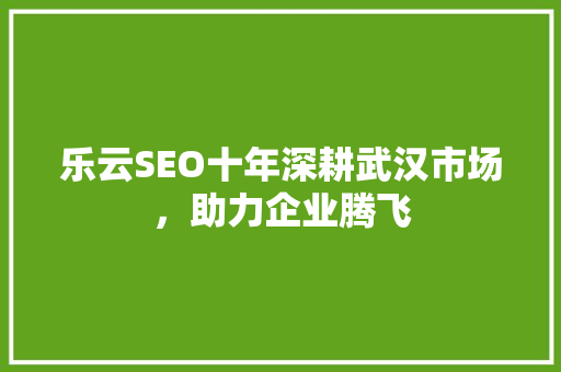 乐云SEO十年深耕武汉市场，助力企业腾飞