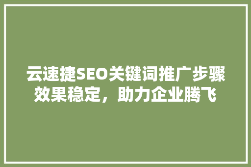 云速捷SEO关键词推广步骤效果稳定，助力企业腾飞 电脑基础