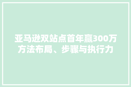 亚马逊双站点首年赢300万方法布局、步骤与执行力 网络技术