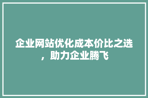 企业网站优化成本价比之选，助力企业腾飞 电脑基础