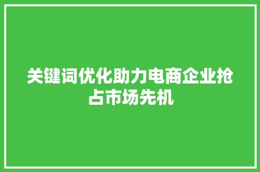 关键词优化助力电商企业抢占市场先机