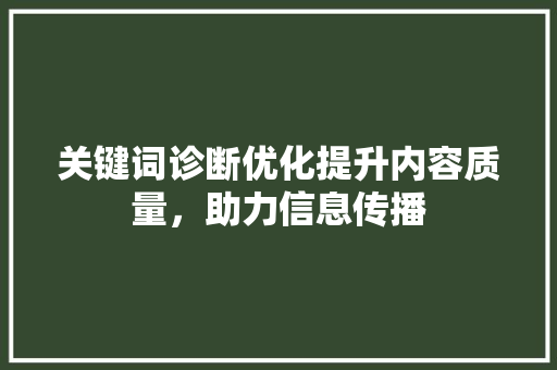 关键词诊断优化提升内容质量，助力信息传播