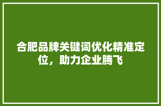 合肥品牌关键词优化精准定位，助力企业腾飞