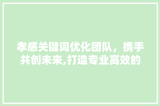 孝感关键词优化团队，携手共创未来,打造专业高效的互联网营销团队