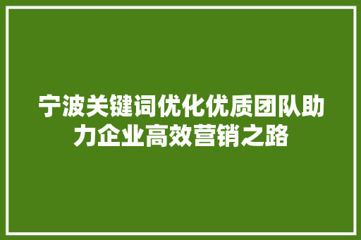 宁波关键词优化优质团队助力企业高效营销之路 宁波关键词优化优质团队助力企业高效营销之路
