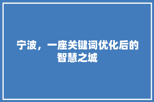 宁波,一座关键词优化后的智慧之城 宁波,一座关键词优化后的智慧之城