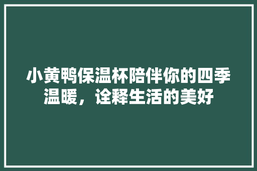 小黄鸭保温杯陪伴你的四季温暖，诠释生活的美好