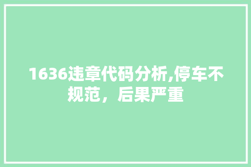 1636违章代码分析,停车不规范,后果严重 操作系统 1636违章代码分析,停车不规范,后果严重 1636违章代码分析,停车不规范,后果严重 操作系统