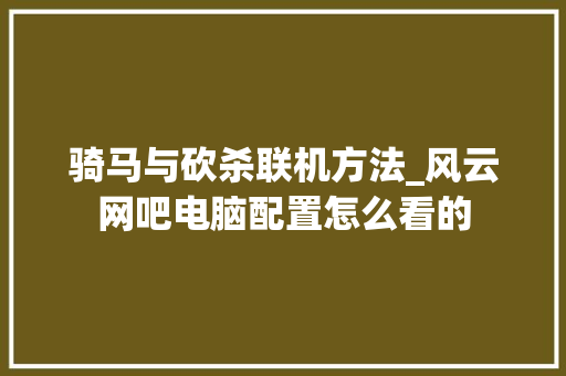 骑马与砍杀联机方法_风云网吧电脑配置怎么看的