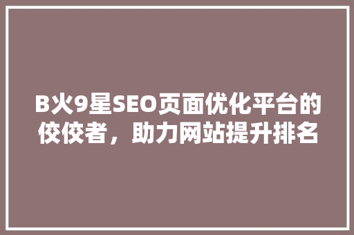 B火9星SEO页面优化平台的佼佼者，助力网站提升排名