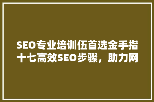 SEO专业培训伍首选金手指十七高效SEO步骤，助力网站优化
