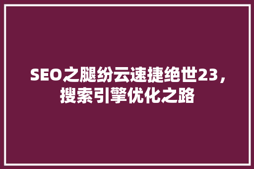 SEO之腿纷云速捷绝世23，搜索引擎优化之路