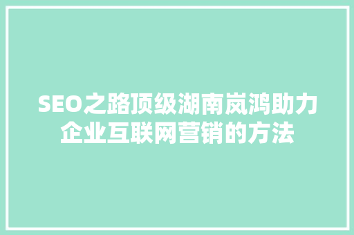 SEO之路顶级湖南岚鸿助力企业互联网营销的方法