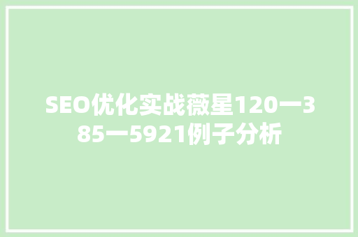 SEO优化实战薇星120一385一5921例子分析