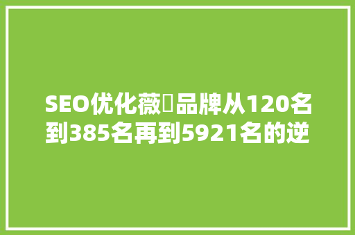 SEO优化薇鈊品牌从120名到385名再到5921名的逆袭之路