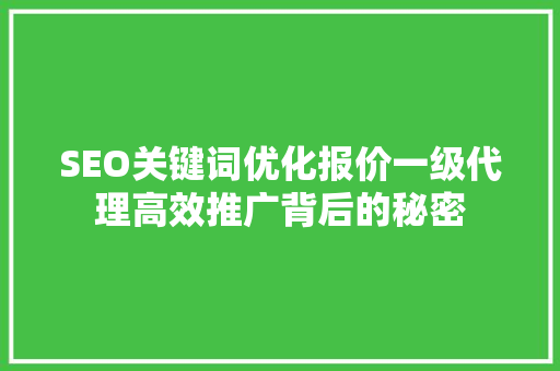 SEO关键词优化报价一级代理高效推广背后的秘密 SEO关键词优化报价一级代理高效推广背后的秘密