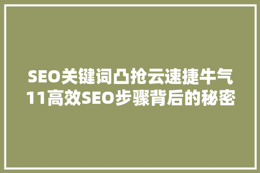 SEO关键词凸抢云速捷牛气11高效SEO步骤背后的秘密