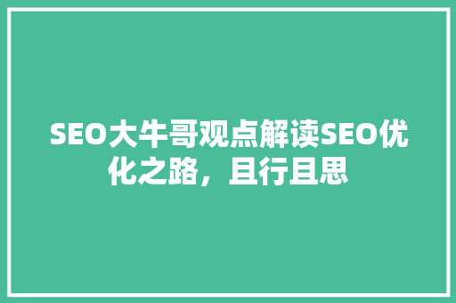 SEO大牛哥观点解读SEO优化之路，且行且思