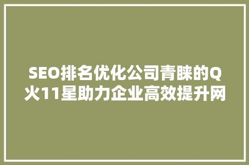 SEO排名优化公司青睐的Q火11星助力企业高效提升网站排名 编程语言