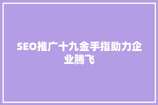 SEO推广十九金手指助力企业腾飞