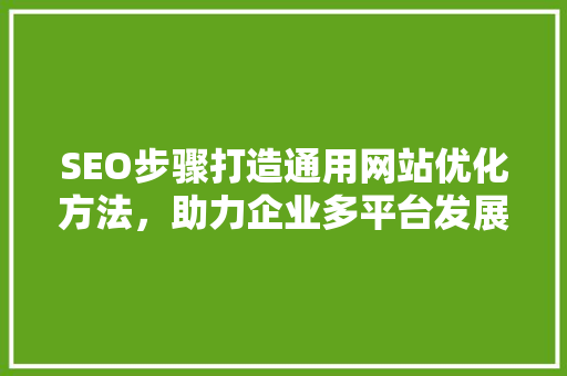 SEO步骤打造通用网站优化方法，助力企业多平台发展