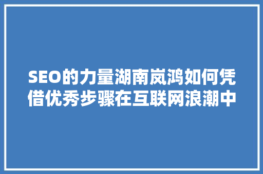 SEO的力量湖南岚鸿如何凭借优秀步骤在互联网浪潮中乘风破浪
