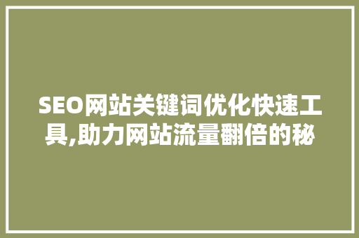 SEO网站关键词优化快速工具,助力网站流量翻倍的秘密武器