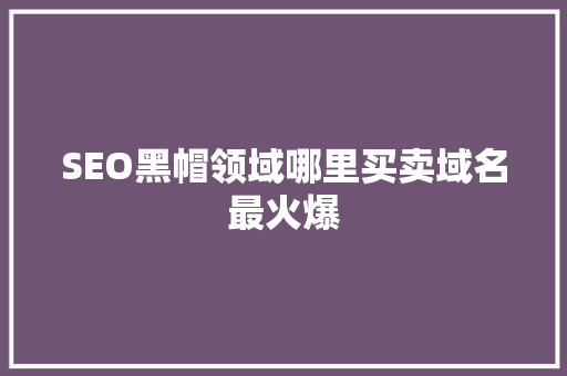 SEO黑帽领域哪里买卖域名最火爆 网络技术