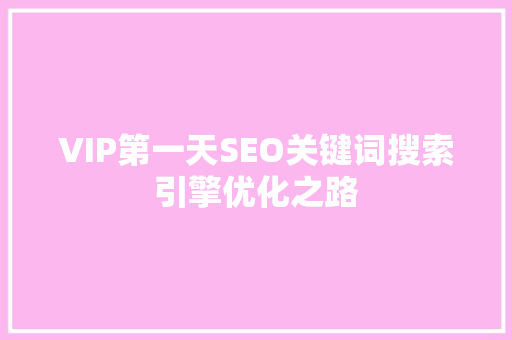 VIP第一天SEO关键词搜索引擎优化之路