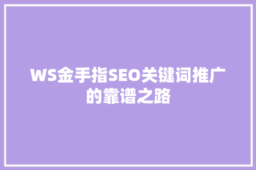 WS金手指SEO关键词推广的靠谱之路