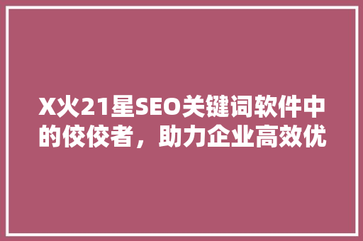 X火21星SEO关键词软件中的佼佼者，助力企业高效优化