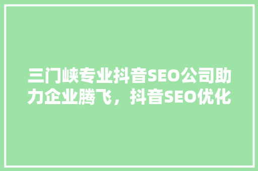 三门峡专业抖音SEO公司助力企业腾飞，抖音SEO优化之路