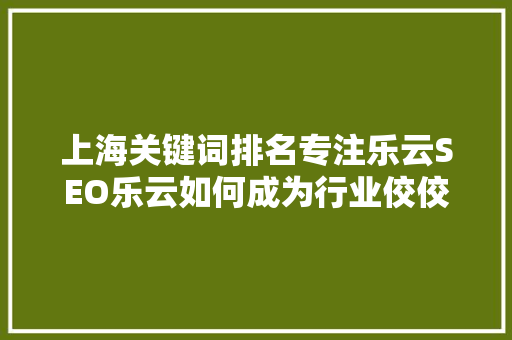 上海关键词排名专注乐云SEO乐云如何成为行业佼佼者