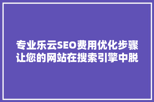 专业乐云SEO费用优化步骤让您的网站在搜索引擎中脱颖而出