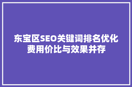 东宝区SEO关键词排名优化费用价比与效果并存