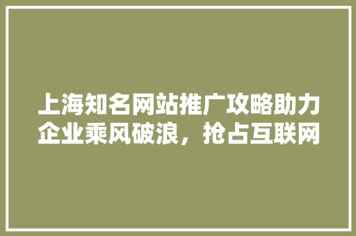 上海知名网站推广攻略助力企业乘风破浪,抢占互联网高地 上海知名网站推广攻略助力企业乘风破浪,抢占互联网高地