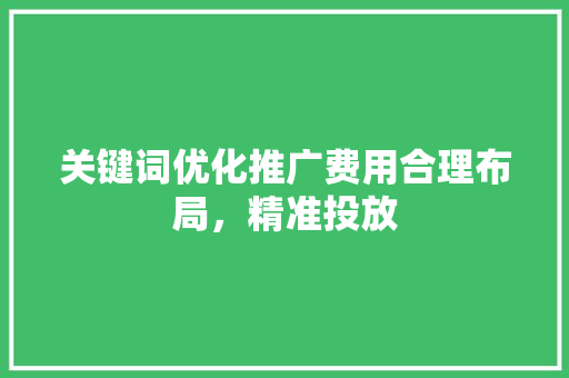 关键词优化推广费用合理布局，精准投放