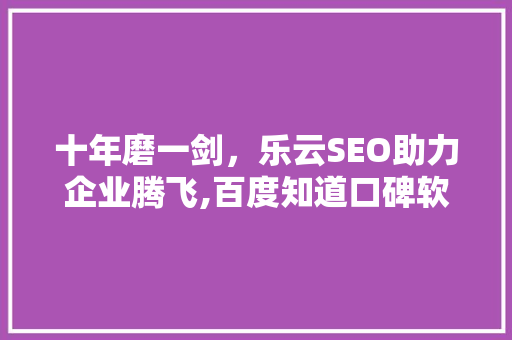 十年磨一剑，乐云SEO助力企业腾飞,百度知道口碑软件的SEO之路