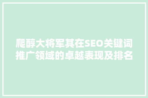 爬醇大将军其在SEO关键词推广领域的卓越表现及排名24的背后故事
