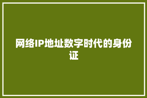 网络IP地址数字时代的身份证 网络IP地址数字时代的身份证